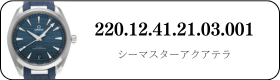220.12.41.21.03.001