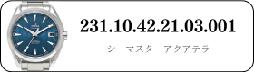 231.10.42.21.03.001