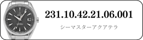 231.10.42.21.06.001