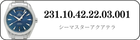 231.10.42.22.03.001