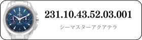 231.10.43.52.03.001