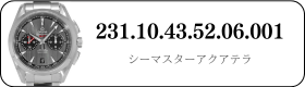 231.10.43.52.06.001