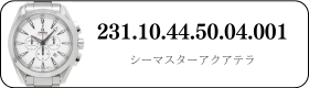 231.10.44.50.04.001
