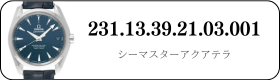 231.13.39.21.03.001